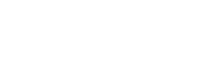 SIMPSON CRASH